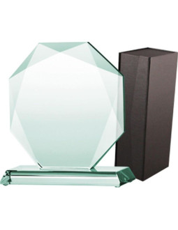 Trofeum szklane z etui