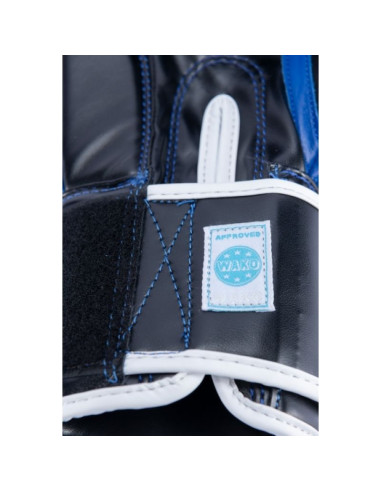 Rękawice bokserskie rtt-wako 10 oz  (wako approved)