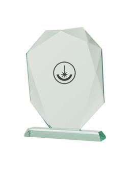 Trofeum szklane z etui 2