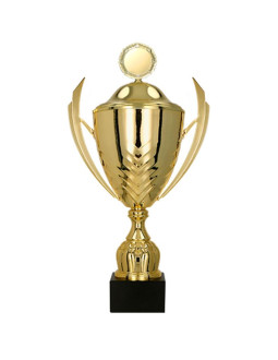 Puchar metalowy z przykrywką 2