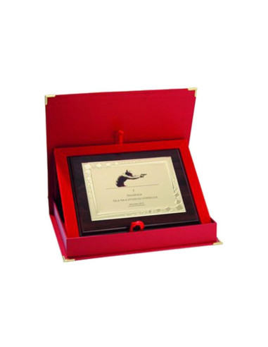 Dyplom z tworzywa sztucznego z metalową blaszką grawerowany + etui