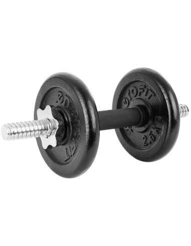 Hantla żeliwna 19 kg ( 2x9.5 kg ) walizka enero fit