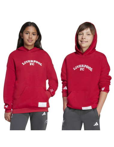 Bluza adidas liverpool fc hoody junior jw7879