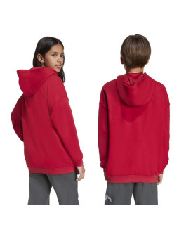 Bluza adidas liverpool fc hoody junior jw7879 2