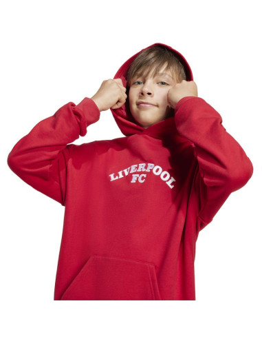 Bluza adidas liverpool fc hoody junior jw7879