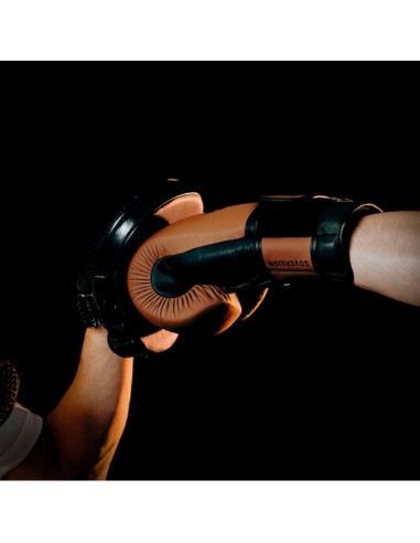 Rękawice bokserskie wielowarstwowe ze skóry - sovereign - legacy series | dbx bushido