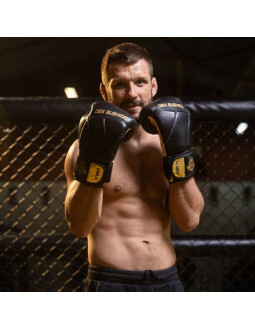 Rękawice bokserskie 10oz - hammer gold - legacy series 2