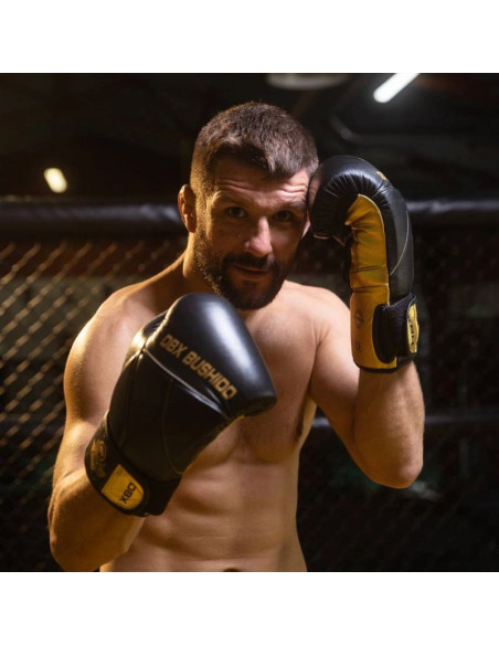 Rękawice bokserskie 10oz - hammer gold - legacy series