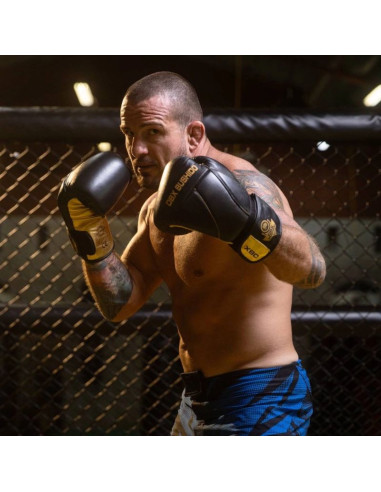 Rękawice bokserskie 10oz - hammer gold - legacy series