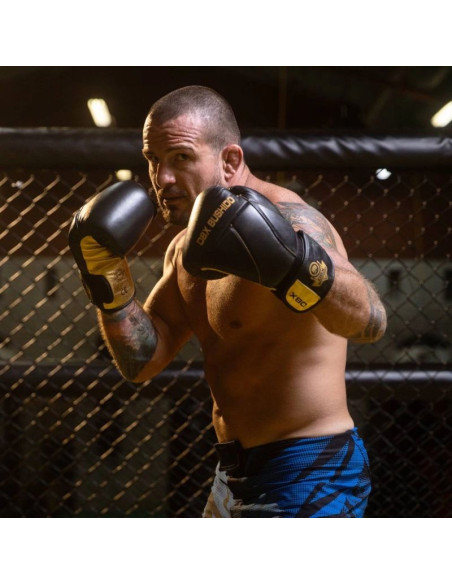 Rękawice bokserskie 10oz - hammer gold - legacy series