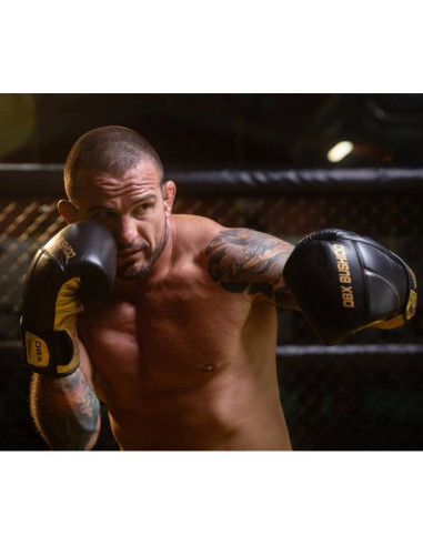 Rękawice bokserskie 10oz - hammer gold - legacy series
