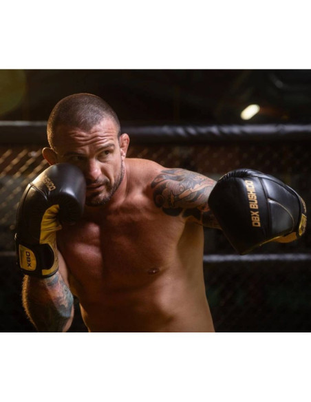 Rękawice bokserskie 10oz - hammer gold - legacy series