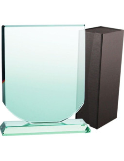 Trofeum szklane z etui