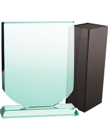 Trofeum szklane z etui