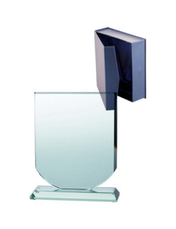 Trofeum szklane z etui 2