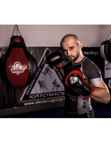 Rękawice bokserskie 10oz - blaze red - legacy series