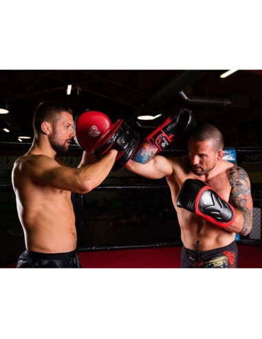Rękawice bokserskie 10oz - blaze red - legacy series