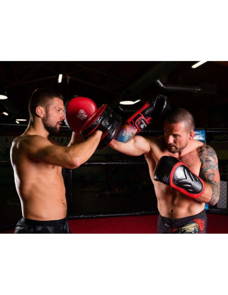 Rękawice bokserskie 10oz - blaze red - legacy series