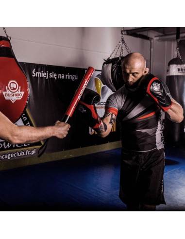 Rękawice bokserskie 10oz - blaze red - legacy series
