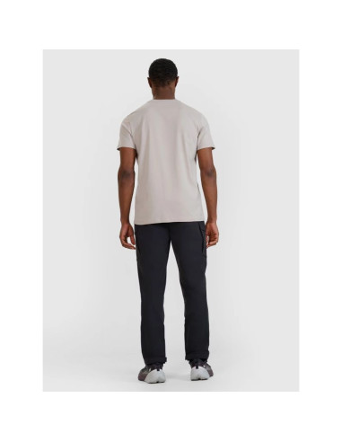 Spodnie casualowe męskie 4f 4fwss25ttrom0998-20s