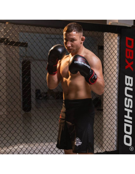 Rękawice bokserskie 14oz - ninja - legacy series