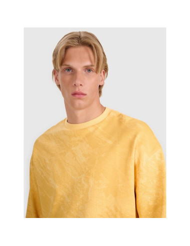 Bluza męska dresowa nierozpinana bez kaptura 4f 4fwss25tswsm1582-71a