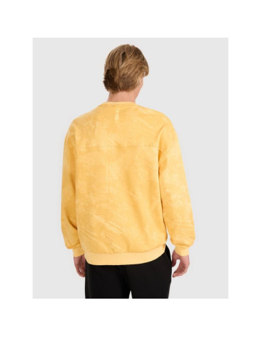 Bluza męska dresowa nierozpinana bez kaptura 4f 4fwss25tswsm1582-71a