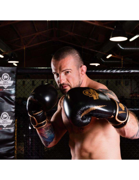 Rękawice bokserskie 10oz - aureos - valor series