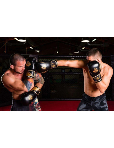 Rękawice bokserskie 10oz - aureos - valor series