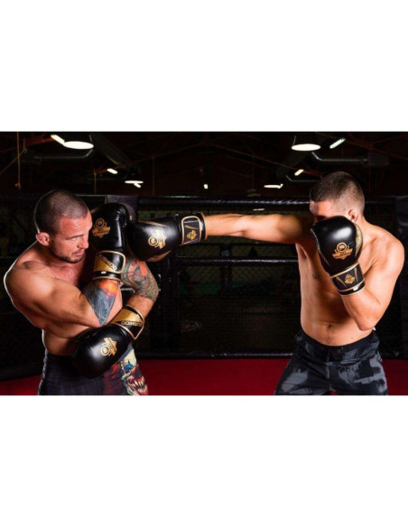 Rękawice bokserskie 10oz - aureos - valor series