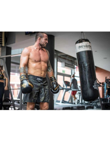 Rękawice bokserskie 10oz - aureos - valor series