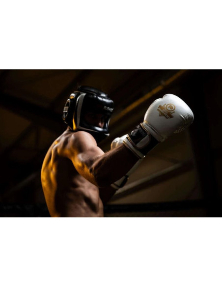 Rękawice bokserskie 10oz - spirit - valor series