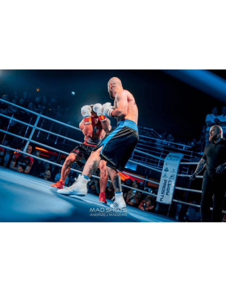 Rękawice bokserskie 10oz - spirit - valor series