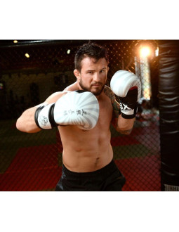 Rękawice bokserskie 10oz - japan - valor series 2