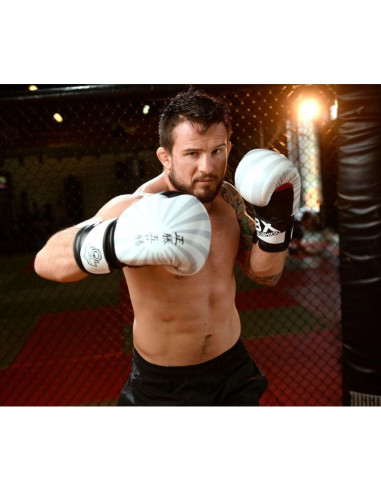 Rękawice bokserskie 10oz - japan - valor series