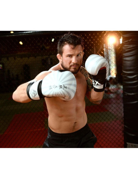 Rękawice bokserskie 10oz - japan - valor series