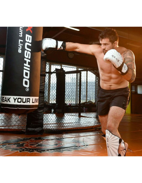 Rękawice bokserskie 10oz - japan - valor series