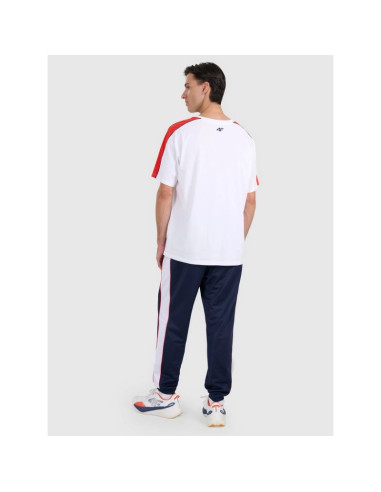 Spodnie dresowe joggery męskie 4f 4fraw25ttrom1611-31s