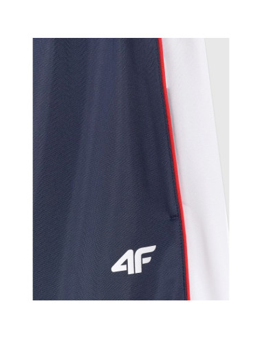 Spodnie dresowe joggery męskie 4f 4fraw25ttrom1611-31s