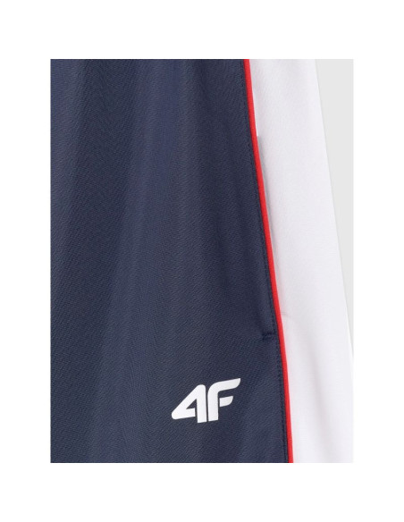 Spodnie dresowe joggery męskie 4f 4fraw25ttrom1611-31s