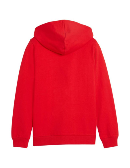 Bluza dla dzieci puma teamgoal casuals hooded czerwona 658596 01