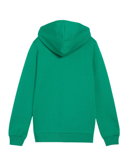 Bluza dla dzieci puma teamgoal casuals hooded zielona 658596 05