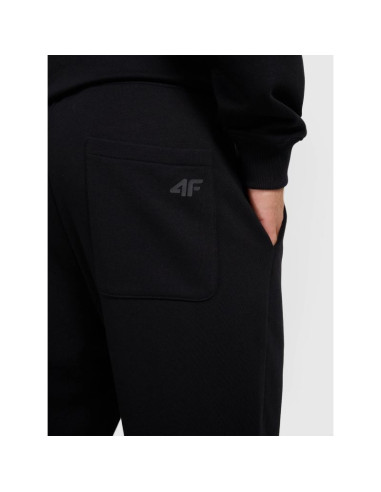 Spodnie dresowe joggery męskie 4f 4fraw25ttrom1671-20s