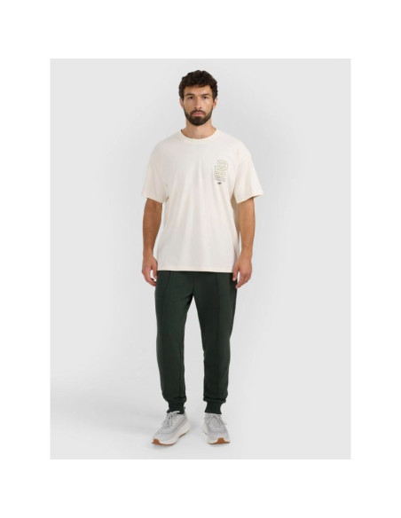 Spodnie dresowe joggery męskie 4f 4fraw25ttrom1671-40m