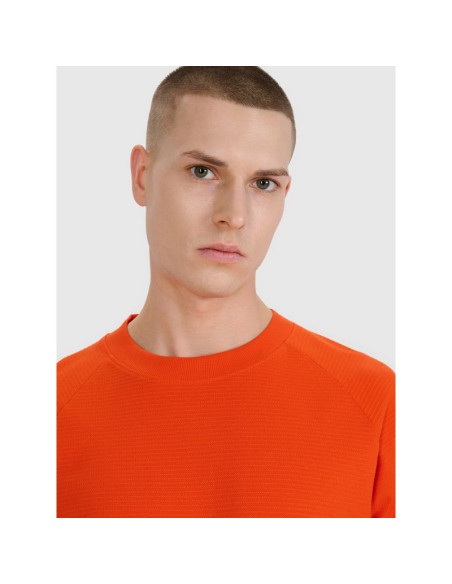 Bluza dresowa nierozpinana bez kaptura męska 4f 4frss25tswsm2179-70s