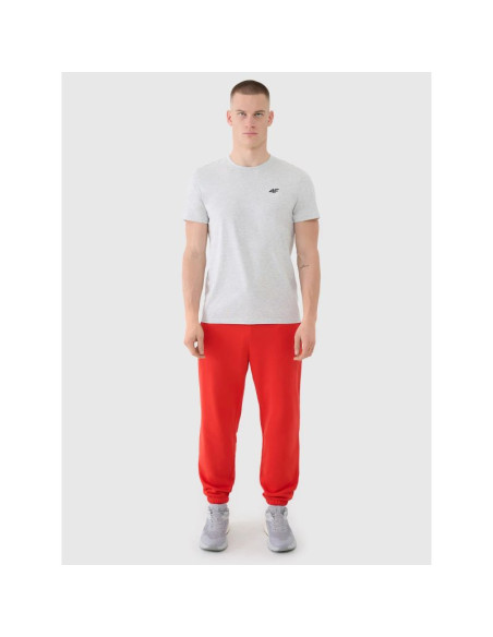 Spodnie dresowe joggery męskie 4f 4fwmm00ttrom1139-62s