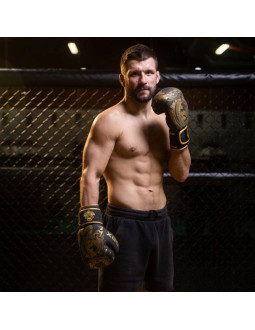 Rękawice bokserskie 8oz - gold dragon - valor series 2