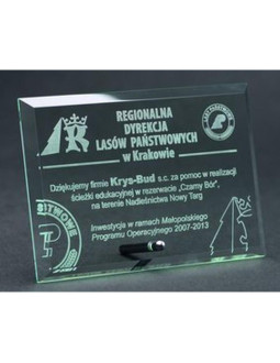 Trofeum szklane grawerowane 2