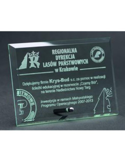 Trofeum szklane grawerowane