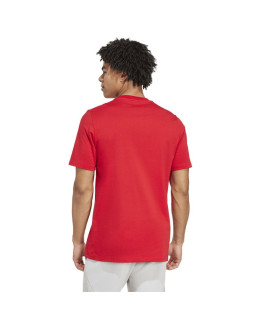 Koszulka adidas polo arsenal londyn fc 24/25 session graphic tee jm9415 2